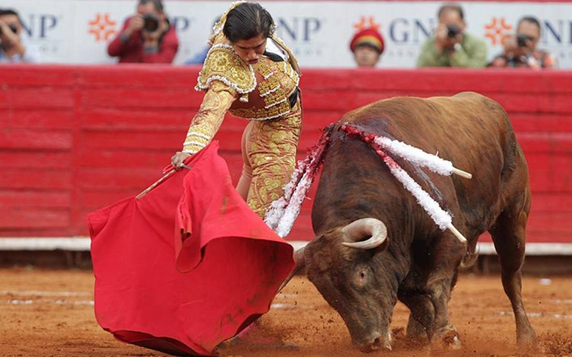 Morena propone prohibir las corridas de toros en CDMX - Noticias